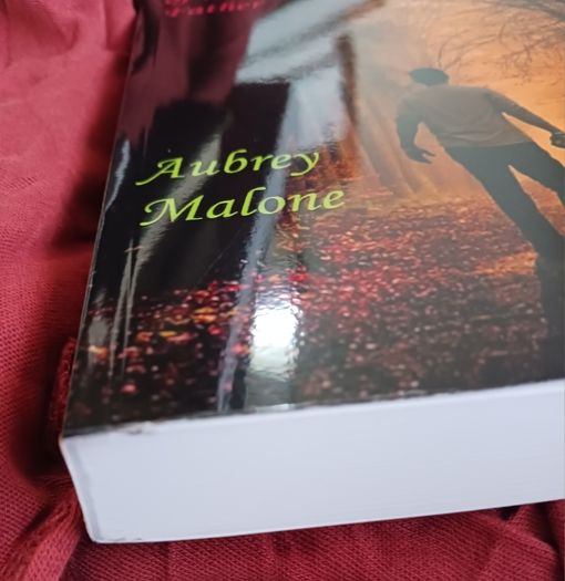 Aubrey Malone/ Sins of the Fathers/ 2023