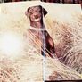 1989. A Dog Owners Guide To The Doberman. Image 5