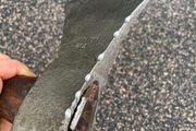 Goldenberg Small Axe