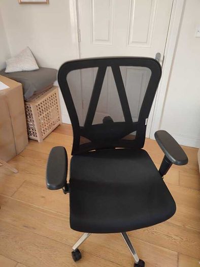 Ergonomic Office Chair