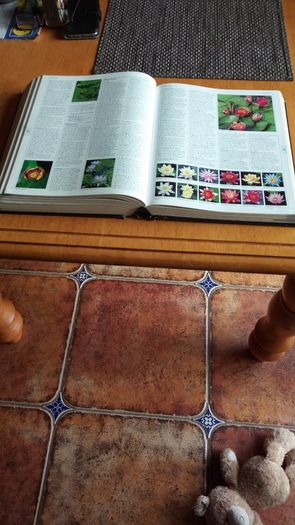 Garden Plants Encyclopedia