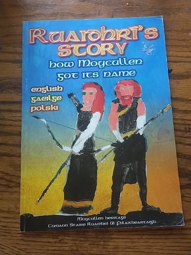 Kids Irish books individually priced