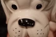 Dog biscuits barrel