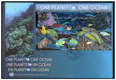 2010 United Nations One Planet One Ocean Jumbo Stamp First Day Cover (FDC) New York Cancel