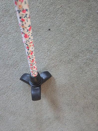 Walking Stick
