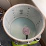 Vintage 1970s Ludwig Champagne Sparkle 4-piece drum kit Image 5