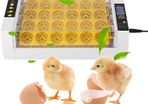 Best 24 Chicken Egg Automati c Incubator Hatcher with Poultry Digital Control:Available for collection