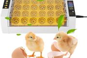 Best 24 Chicken Egg Automati c Incubator Hatcher with Poultry Digital Control:Available for collection