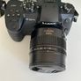 Panasonic Lumix GH5 + Leica 42.5mm f/1.2 Image 3