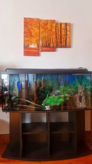 Fish tank