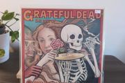The Grateful Dead - The Best Of The Grateful Dead: Skeletons From The Closet (LP, Comp)