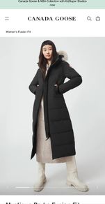 canada goose