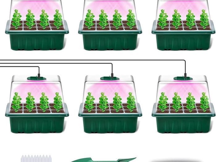NEW SALE | Seed Trays with Grow Light, 6 Pack Propagator with Timing Controller Adjustable Brightness, Thicken Seedling Trays with Humidity Domes Heightened Lids for Greenhouse & Gardens, Gift Box