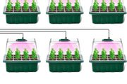 NEW SALE | Seed Trays with Grow Light, 6 Pack Propagator with Timing Controller Adjustable Brightness, Thicken Seedling Trays with Humidity Domes Heightened Lids for Greenhouse &amp; Gardens, Gift Box