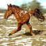 sergris