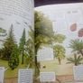 Book: Flowers, Trees & Plants (postage included) Image 3