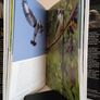 The Life of Birds by David Attenborough (HQ552) Image 4