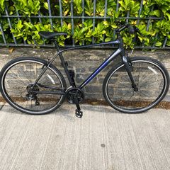 giant escape 3 Cold Iorn Size L