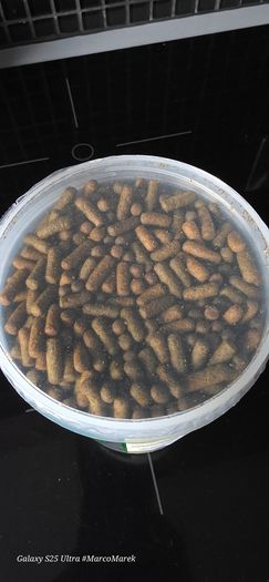 Fish food