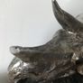 dinosaur skeleton Image 5