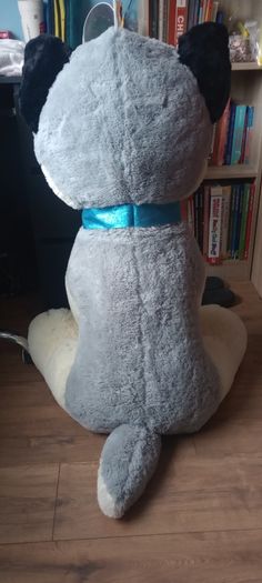Big Dog teddy