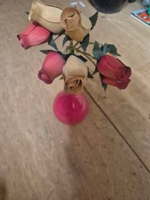 roses in vase