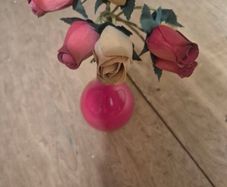 roses in vase