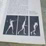 Beginning Badminton / Judy Hashman and C. M. Jones (Hardcover) Image 4