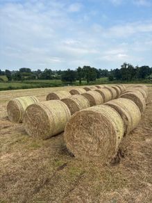Hay bales