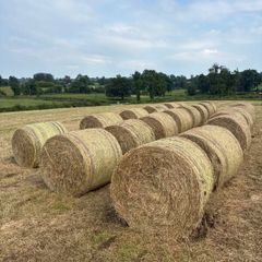 Hay bales