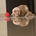 GoldenRetriever