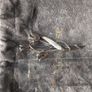 silver brooch Image 4