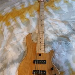 lakland skyline 55-01