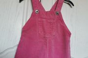 Girl's skirt dungaree 9-12 (NEXT)