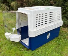 XL Airline Approved Dog Creat PP70