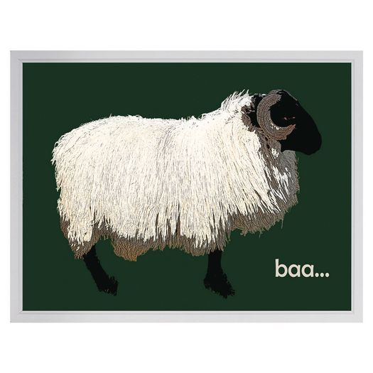 Blackface Mountain Sheep Achill, 2D framed 16 x 12 inch