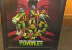 Turtles picture