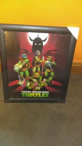 Turtles picture