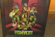 Turtles picture