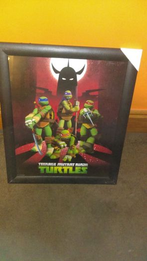 Turtles picture