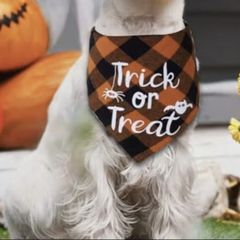 Halloween Costume
