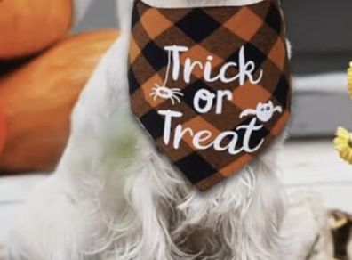 Halloween Costume