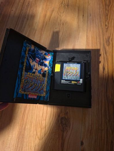 Sega Risky Woods Japanese game