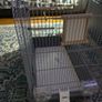 Bird Cage-large Image 2