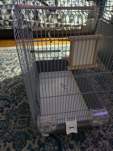 Bird Cage-large