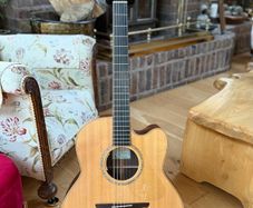Guitar Mcilroy 12 String Cutaway