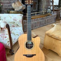 Guitar Mcilroy 12 String Cutaway
