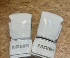 14oz sg210 boxing gloves