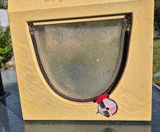 Cat flap