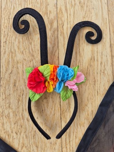 Beautiful Butterfly Costume
